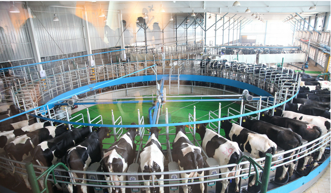 20161223144831783178