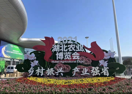 20211130102431273127