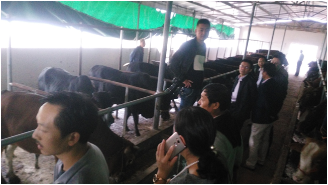 20161028161250615061 304amÓÀÀû¼¯ÍÅ¡¤(Öйú)ÓÐÏÞ¹«Ë¾¹ÙÍø