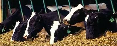 20161124162599789978 304amÓÀÀû¼¯ÍÅ¡¤(Öйú)ÓÐÏÞ¹«Ë¾¹ÙÍø