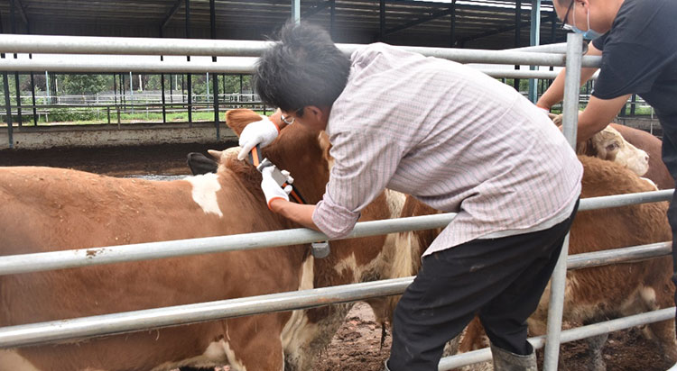 2021080213560943943 304amÓÀÀû¼¯ÍÅ¡¤(Öйú)ÓÐÏÞ¹«Ë¾¹ÙÍø