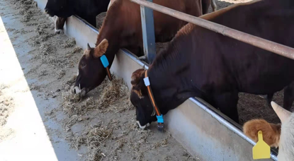 2021113010250658658 304amÓÀÀû¼¯ÍÅ¡¤(Öйú)ÓÐÏÞ¹«Ë¾¹ÙÍø