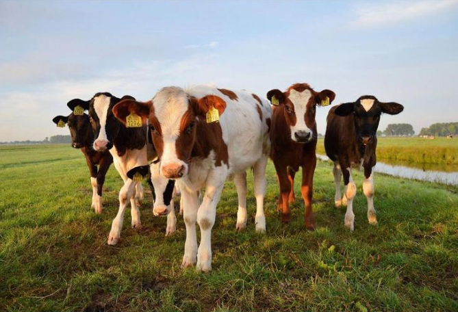 20230316101894679467 304amÓÀÀû¼¯ÍÅ¡¤(Öйú)ÓÐÏÞ¹«Ë¾¹ÙÍø