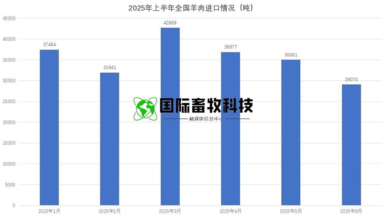 20250722145464146414 304amÓÀÀû¼¯ÍÅ¡¤(Öйú)ÓÐÏÞ¹«Ë¾¹ÙÍø